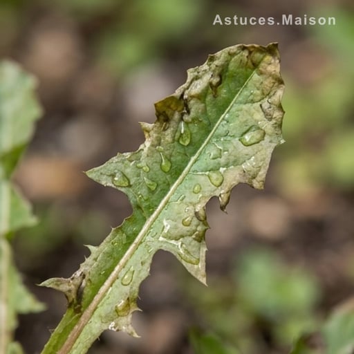 Astuces pour booster l'efficacité du traitement