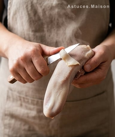 D’abord, apprivoiser la langue : l’étape cruciale du pelage