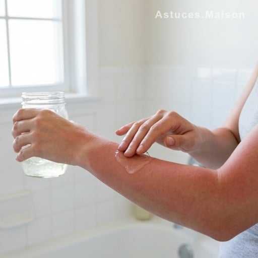 Digestion, glycémie, cholestérol : le jus d’aloe vera, ce faux ami